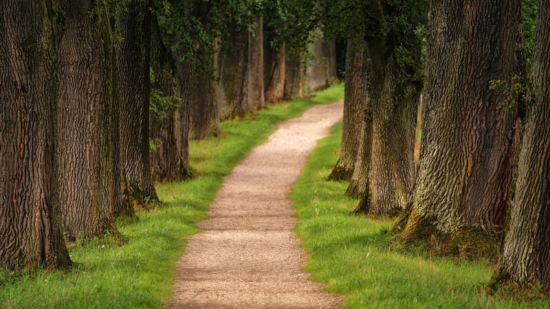 Plan Your Path